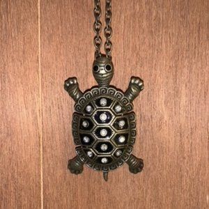 Turtle Necklace, Long Necklace